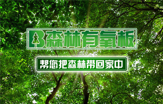 十大板材品牌