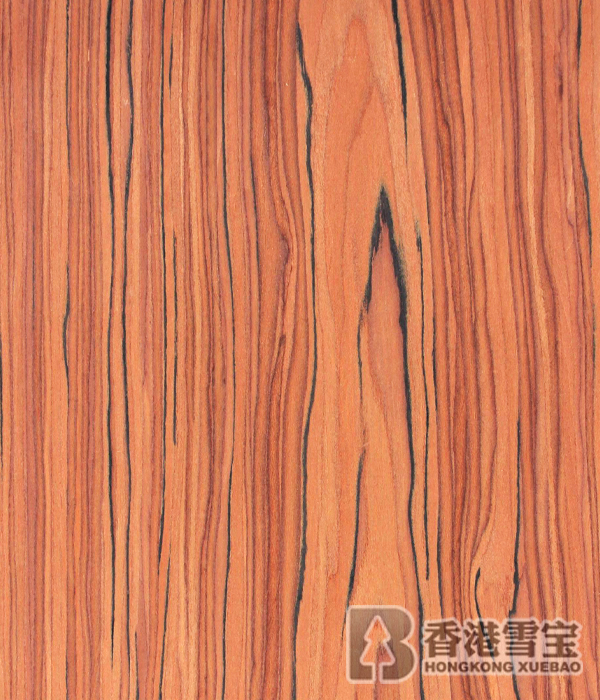 中國(guó)板材十大名牌