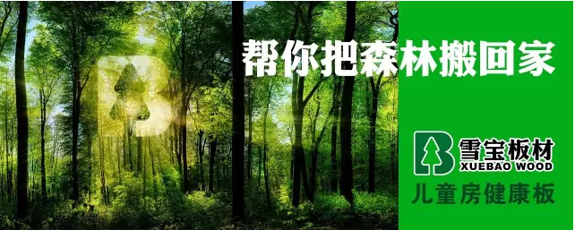 中國(guó)板材十大名牌
